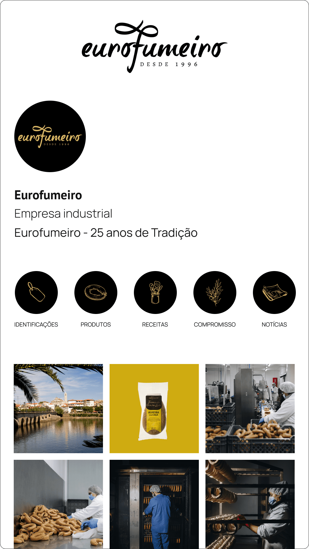 Desenho do feed de Instagram da Eurofumeiro com as publicações selecionadas, com base no Instagram da empresa